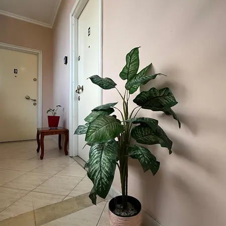 Appartement Mirela's Center Tirana